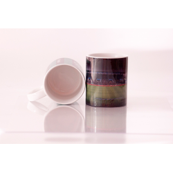 Tazza Mapei Stadium